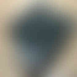 Left-handed Schaller Licensed Tremolo