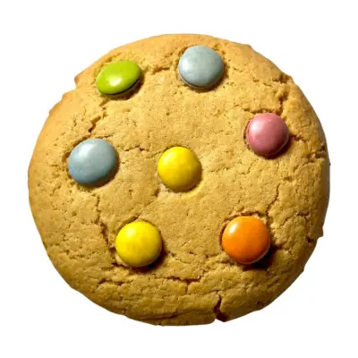 spotty cookie.webp
