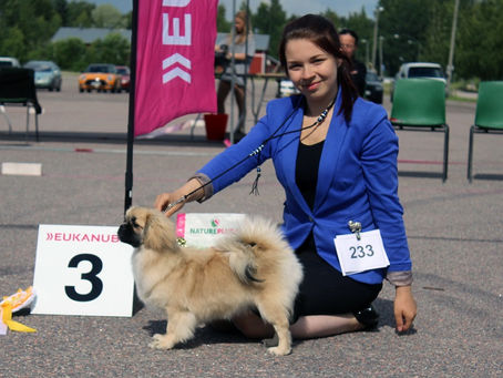 Lahden pentunäyttely