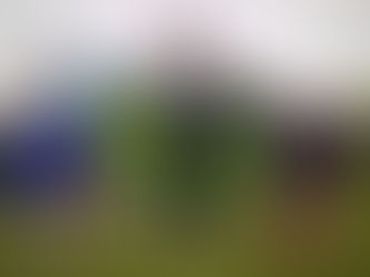 Druskininkai‘2016, Liettua