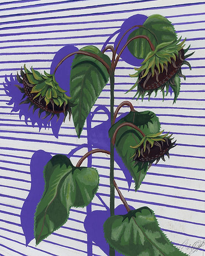 Wilted Sunflower.jpg