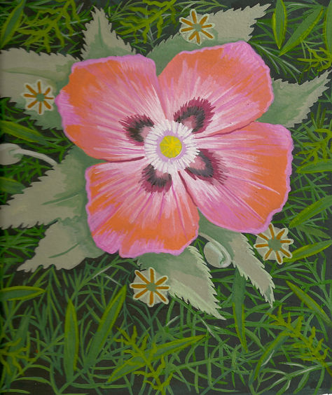 Ellen's Poppy.jpeg