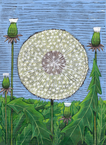 Dandelions.jpeg