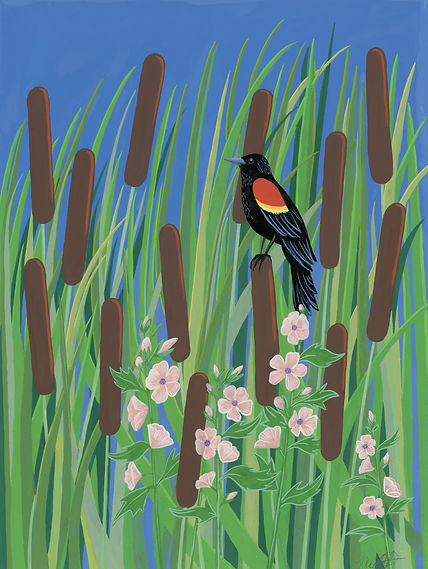 RedwingBlackbird.JPG