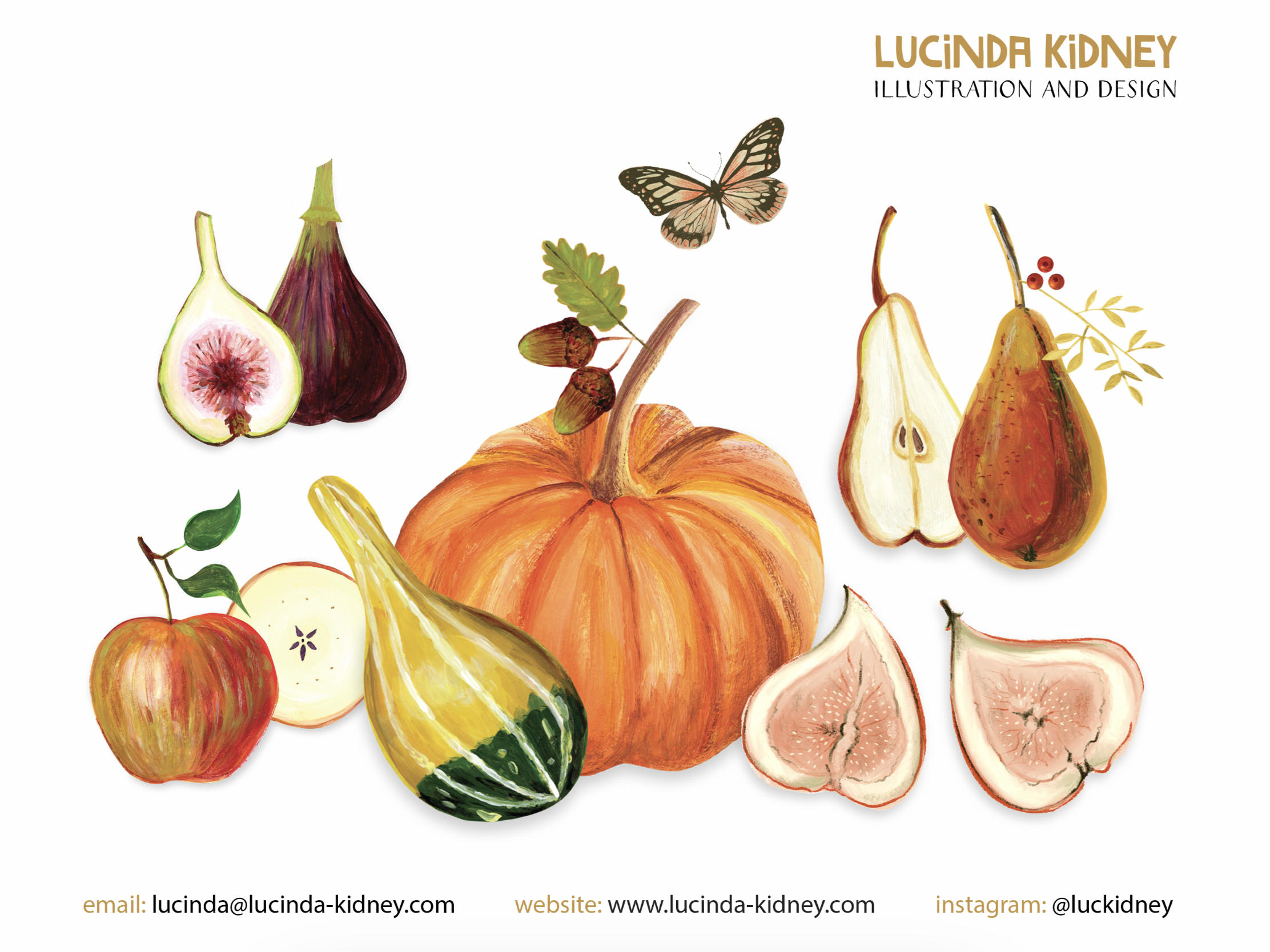 Food Illustration