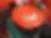 f299f4_37cf2548660f488ca513c2db4dc2b944~mv2_d_2049_1537_s_2.jpg.webp