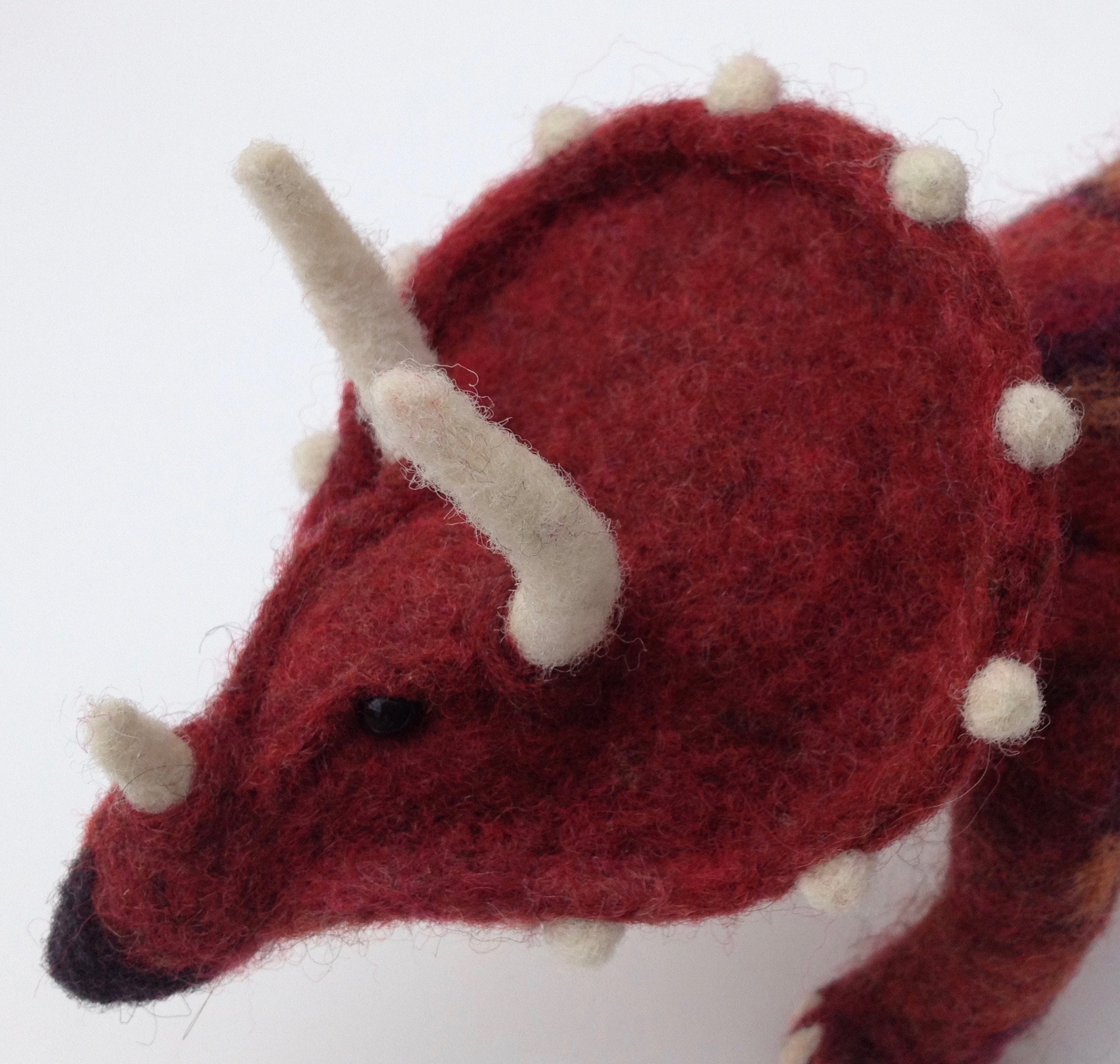 Triceratops Close-up