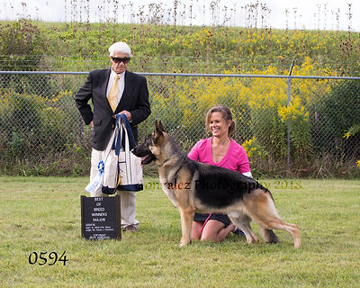 DSC_0594 edit 4x5.jpg