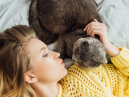 10 Signs That Your Cat Loves You!