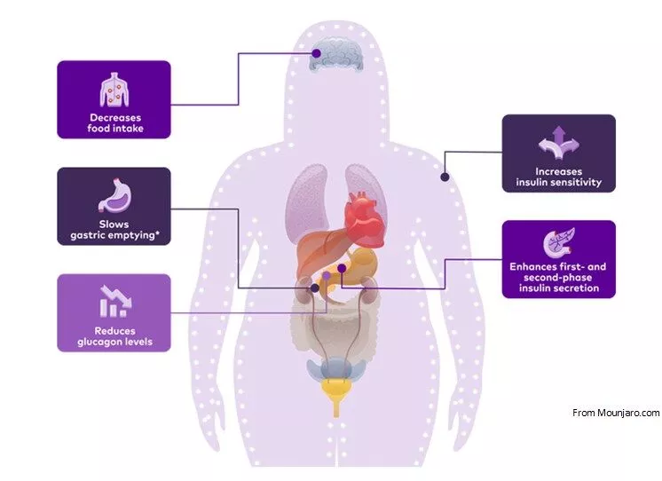 mounjaro-for-treating-obesity.webp