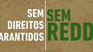 DPU RECOMENDA SUSPENSÃO TOTAL E IMEDIATA DO PROGRAMA REDD+ NO TOCANTINS