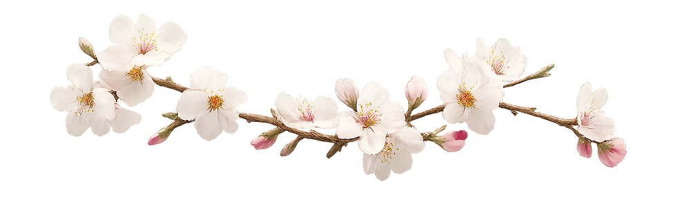 mandelblüte_edited.png
