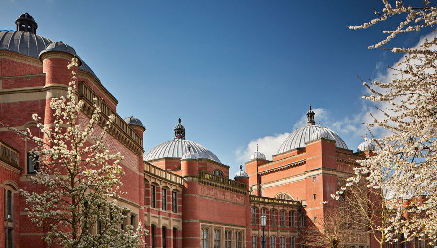 chancellors-court-blossom.jpeg