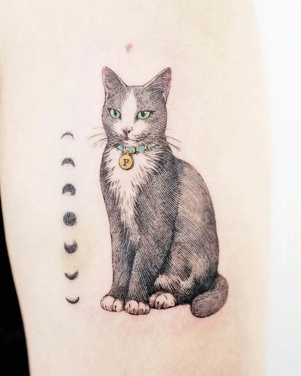 Katzentattoos tat-too.tv