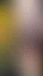 Versus Rosu Adrian Hasky