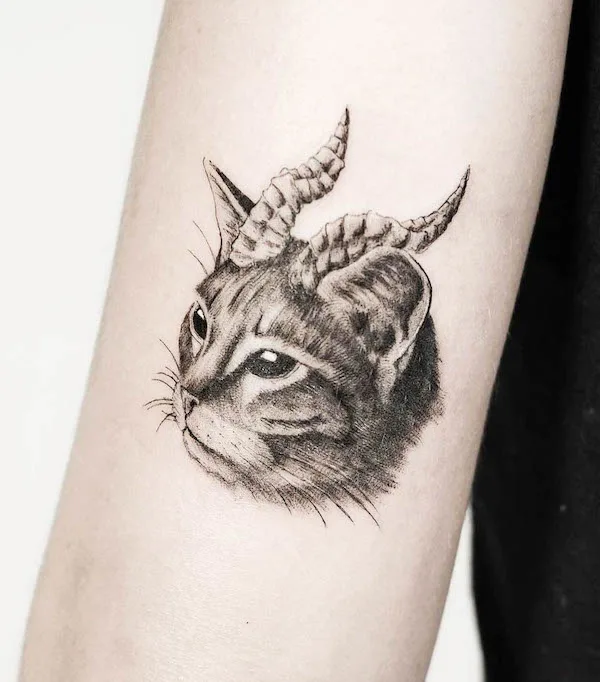 Katzentattoos tat-too.tv