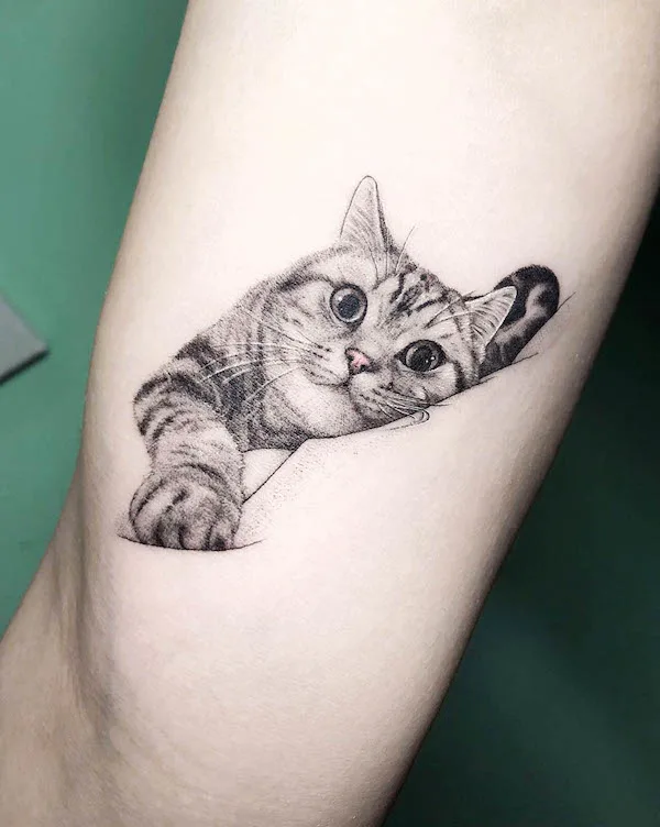 Katzentattoos tat-too.tv