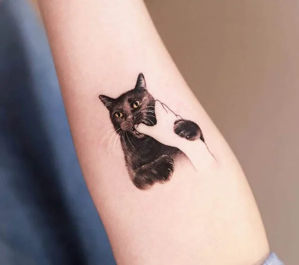 Katzentattoos tat-too.tv