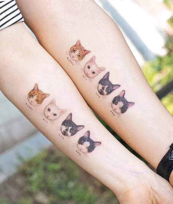 Katzentattoos tat-too.tv