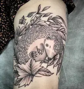 Tatuaje de erizo tat-too.tv