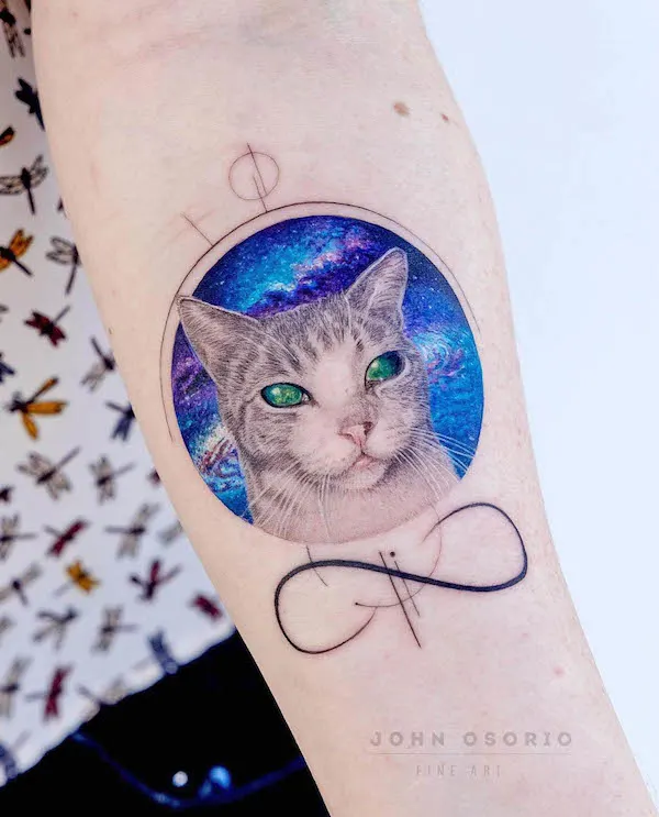 Katzentattoos tat-too.tv