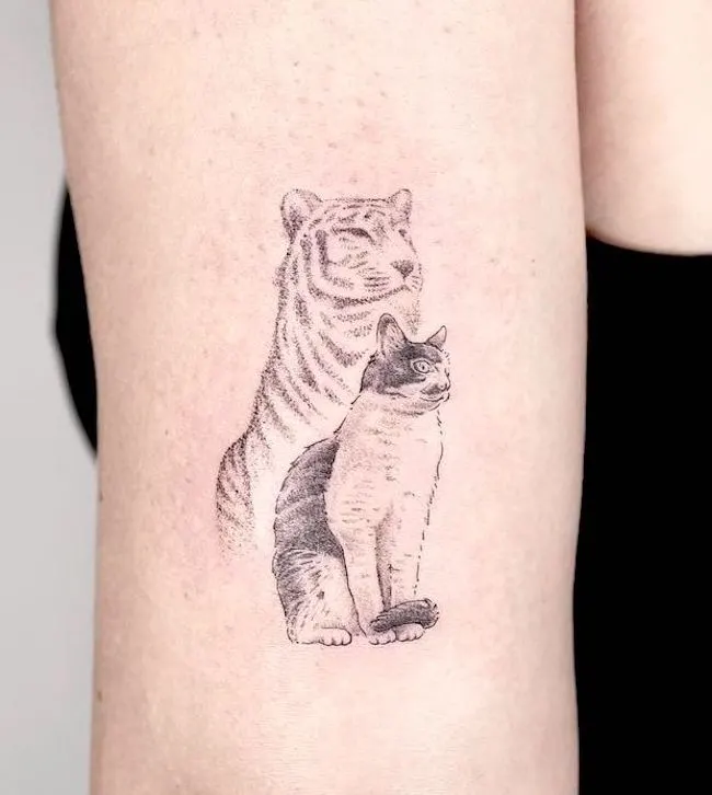 Katzentattoos tat-too.tv