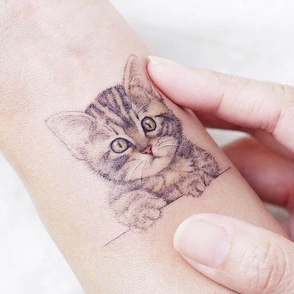 Katzentattoos tat-too.tv