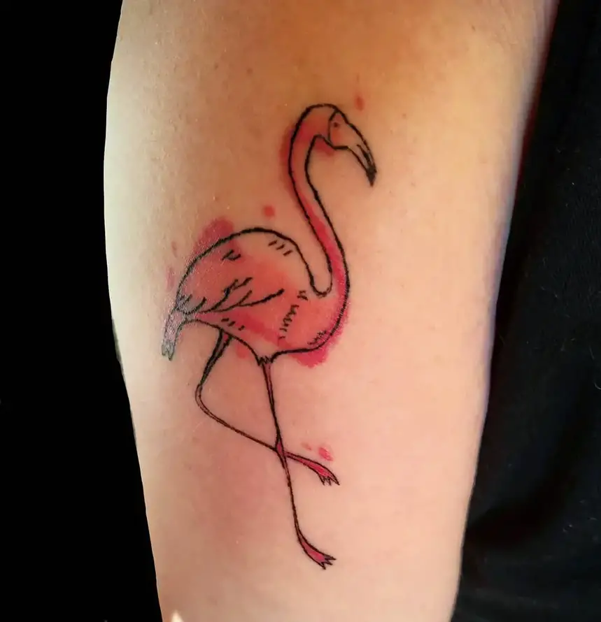 Tatuaggi di fenicotteri tat-too.tv