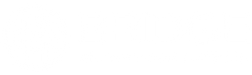 Bridge AI Development and Ethics logo