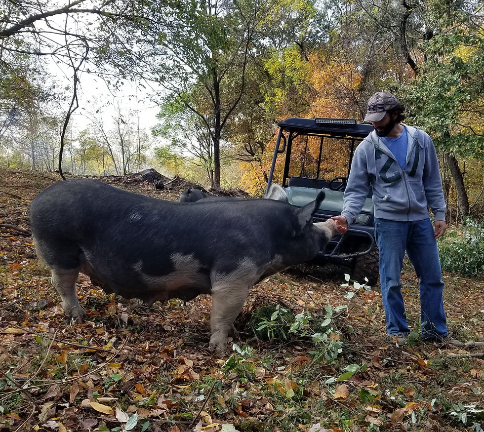 Thumbnail: Premium Farmery Package: Private Tour and Tasting