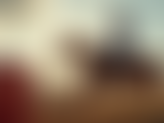 How to Improve Your Barrel Racing Skills