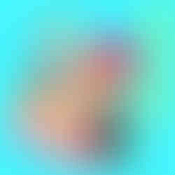 1c6bd4b54590746fbe2bca1f6cfc70ee