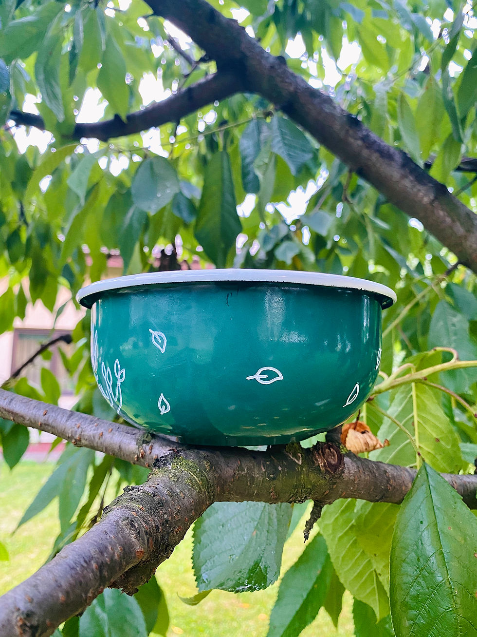 Miniatură: Castronul Pofticios