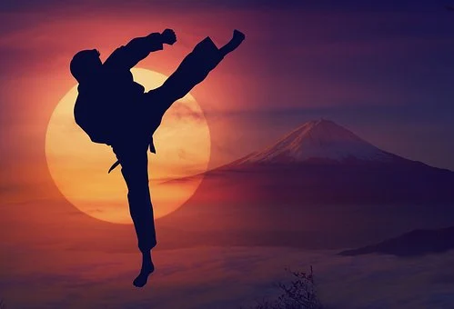karate-4082019__340.webp