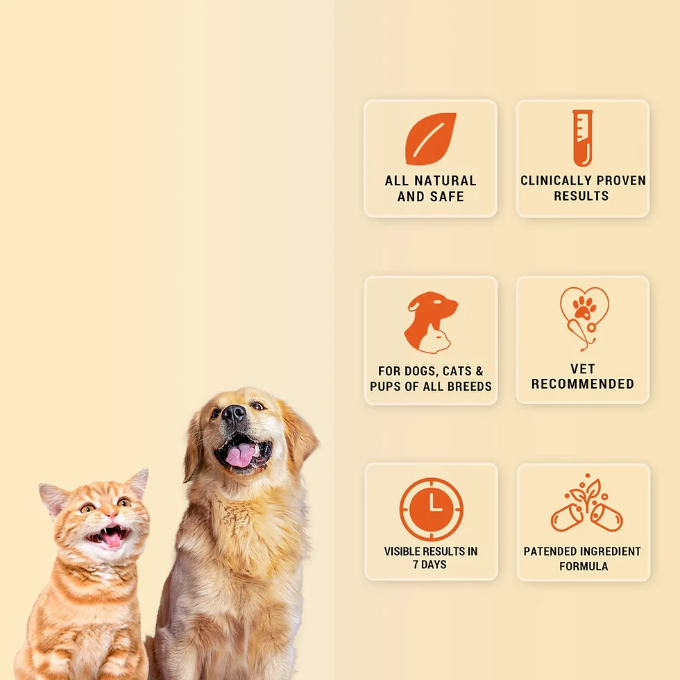Thumbnail: Orthoron Plus Advanced Joint Care Supplement For Dogs & Cats - 28 tablets