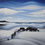 Thumbnail: 'Machir Bay Shipwreck, Islay' Oil Painting