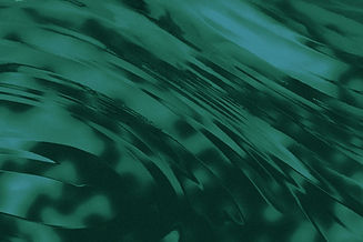 BCM_Texture3.jpg