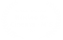 Roteirista Selecionado - Ncleo de Cinema