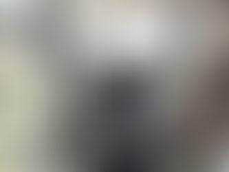 GLOBEX Stair Climber : Did you know evacuation chairs can be battery powered?