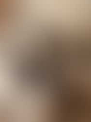 Décryptage du Comportement du Frelon