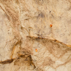 THE PACE TO THAT PLACE