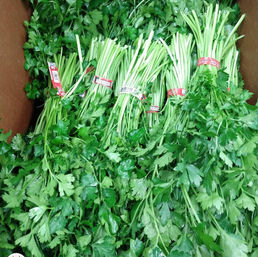 WhatsApp Image 2022-12-05 at 10.15.07 AM (18).jpeg