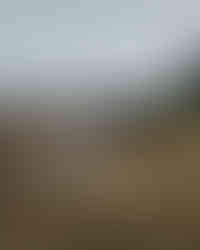 Bride walking to the ceremony while bagpiper plays at Quiraing, Skye