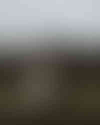 Bride reading personal vows during Quiraing ceremony, Isle of Skye