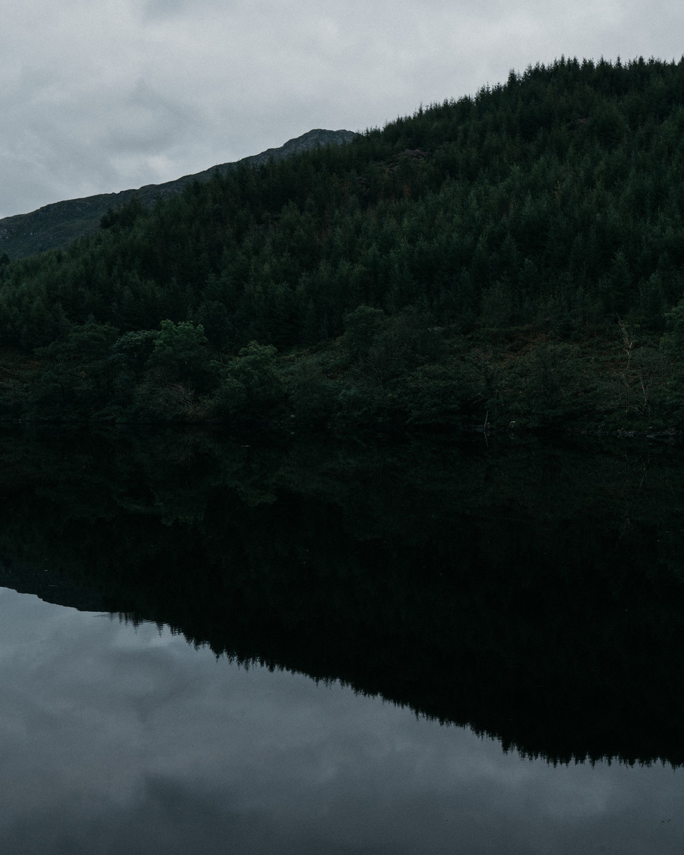 Forested hillside reflecting in Loch Trool