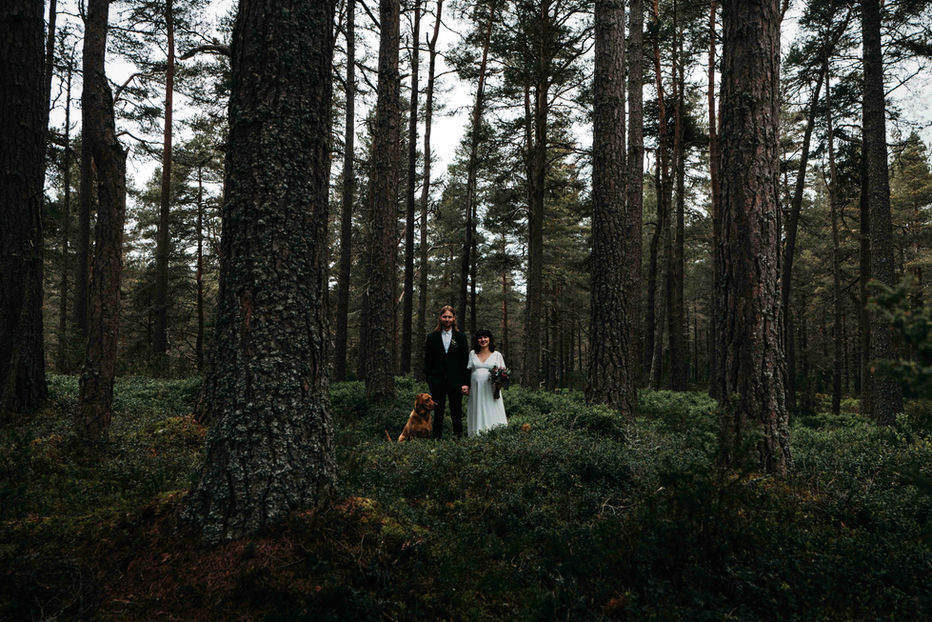 Bride and groom pose with their dog for a wedding photo in Loch Garten forest, Cairngorms
