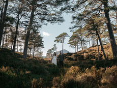 Couple holding hands in a wide, cinematic shot among autumn pine trees in the Scottish Highlands