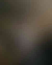 Josh and Emily walking hand in hand through Scots pines and birch trees during their Glen Affric Vow Exchange.