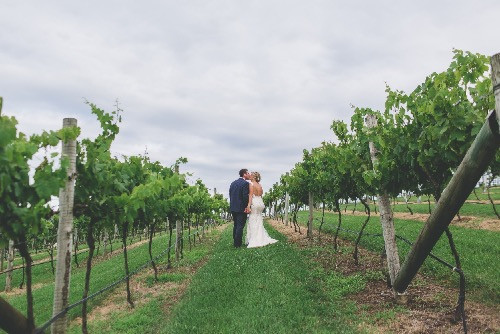 Vineyard wedding