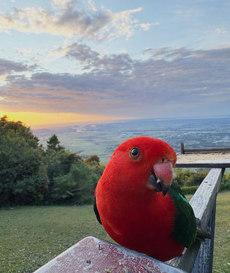 NSW South Coast Wedding Venue